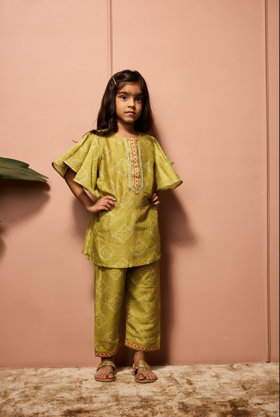 MEHENDI GREEN BANDHEJ FLUTTER SLEEVS CO-ORDSET.